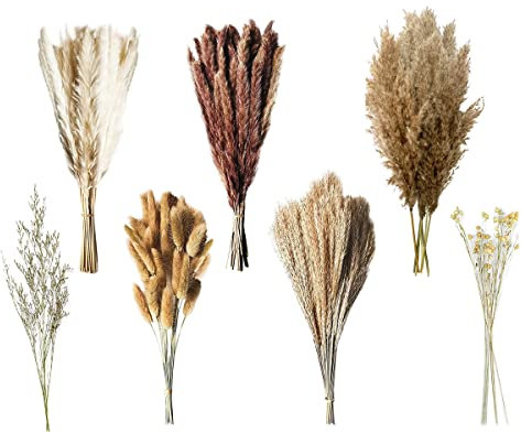 121 Stück Pampasgras Getrocknete Pampas Gras Dekor, 17 Zoll / 44 cm Extra flauschig DIY 7 Arten Getrocknete Blumen Natürliche PampasGras, Boho Deko, Bad & Wohnzimmer Dekoration