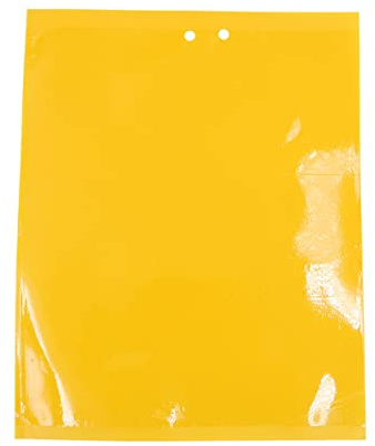 Tiardey, 20 Piezas, Trampa para Moscas de Frutas Amarillas, trampas Adhesivas para Mosquitos y Hongos,como Hongos,Mosquitos voladores,áfidos, Moscas Blancas,minadores de Hojas,20x15cm