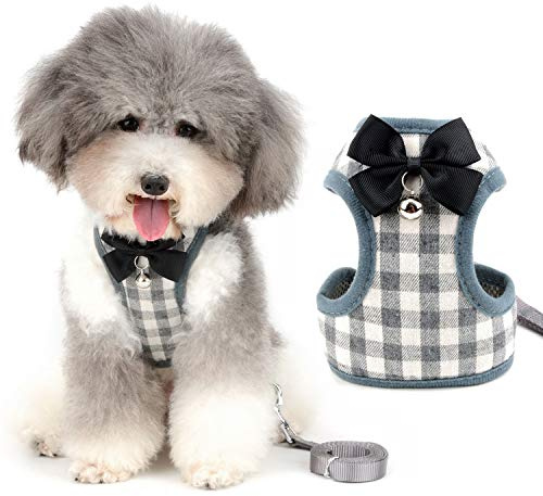 Zunea Harnais et Laisse pour Petit Chien Anti Traction avec nœud Papillon et Cloche de sécurité pour Chiot Chihuahua Yorkshire, Anti-Fuite Reglable Harnais pour Chats/Chaton Gris L