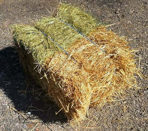 Bi Ballot Paille et Foin Qualité Extra 10 à 12 Kg Exclusif