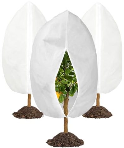 MYOWELL 3 unidades de protección invernal para plantas, 80 x 100 cm, protección contra heladas, bolsas para plantas en macetas, translúcidas y transpirables para palmeras, olivos, árboles frutales