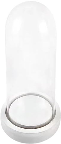 Campana di Vetro con Base in Legno, Cupola vetro esposizione vetrina Centrotavolo Porta candela Decorazione (12*30cm)