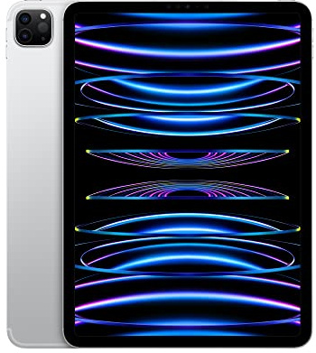 2022 Apple iPad Pro (11, Wi-Fi, 256GB) - Argento (Ricondizionato)