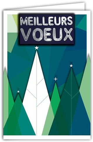 Carte Meilleurs Vœux Collage en Relief du Texte Brillant avec Enveloppe 12x17,5cm Oiseau Boule Noël Déco Géométrique pour Professionnel Entreprise Collègue Collaborateur ou Particulier Nouvelle Année