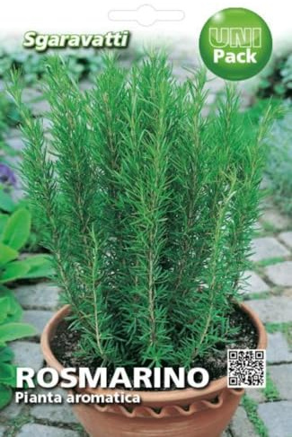 SEMI PROFESSIONALI ROSMARINO SEMENTI ORTO Rosmarinus officinalis ROSEMARY SEEDS