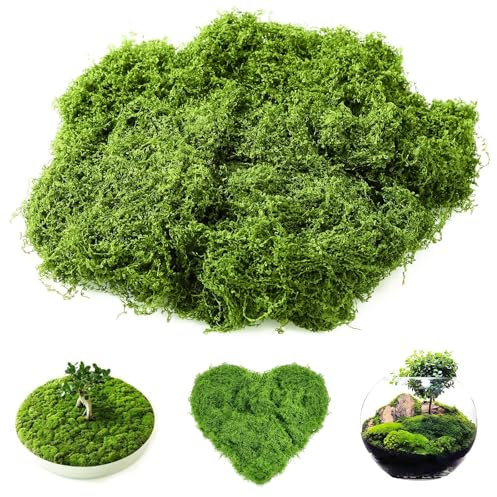 agogue 200g Künstliches Moos Deko, Kugelmoos Deko Kunstmoos zum Basteln Kunstmoos zum Dekorieren für Aquariumwandgestaltung Rasen Bonsai DIY-Projekten