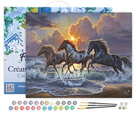 Figured'Art Peinture par Numéro Adulte avec Cadre Trio de chevaux - Activité Manuelle Kit de Loisir Créatif DIY Numéro d'Art Complet - 40x50cm toile tendue sur châssis