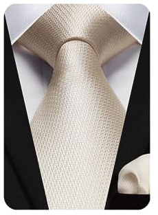 HISDERN Champagne Ties for Men Solid Plaid Beige Tie with Pocket Square Set Formal Mens Cream Ties Handkerchiefs Silk Satin Neckties Set for Wedding