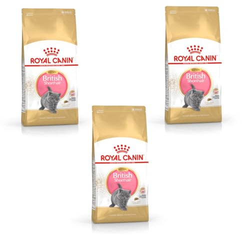 Royal Canin British Shorthair Kitten | 3er Pack | 3 x 400 g | Alleinfuttermittel für British Shorthair Kitten | Speziell für Britisch Kurzhaar Katzenwelpen | Bis zum 12. Monat