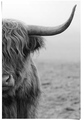 REINDERS Poster, Highlander, Home Office, Poster, Wanddeko, Room Decor, 150 gr. glänzend Bilderdruckpapier, Schwarz, 91,5 x 61cm