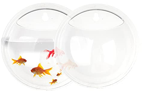 JYCRA Blumentopf, Wandmontage, 15,2 cm, transparent, Acryl, Globus, Blumenvase, Wandbehang, runde Fischschale für Sukkulenten, 2 Stück