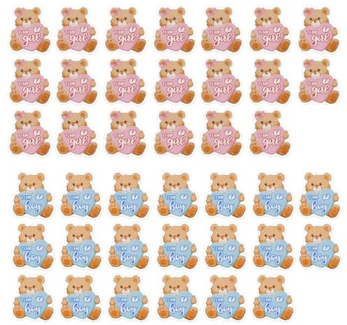 OUDQFCJ Adesivi Baby Shower Genere Rivelare Adesivi Gender Reveal Party Genere Rivelare Etichette Team Boy Team Girl Decorazione per Festa Battesimo