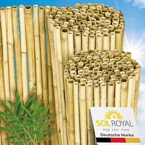 Sol Royal Hell Glänzend Premium Bambus Sichtschutz 140 hoch – Hochwertig Bambusrohre Ø2-3cm Witterungsbeständig – Bambuszaun Gartensichtschutz Balkon Sichtschutz Bambus Sichtschutzzaun 140x250cm – B99