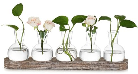 Hewory Terrarium Pflanzen Blumenvase Hydrokultur: Vintage Propagation Station Hydroponic Kleine Vasen für Tischdeko, Terrarium Glas Vase mit Holztablett, 5 Glasvase Klein für Büro Deko Tischdeko