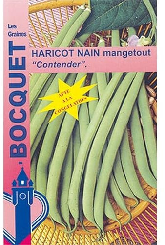 Sachet de graines de Haricot nain mangetout Contender - 120g - 120 g - Haricot nain mangetout - LES GRAINES BOCQUET