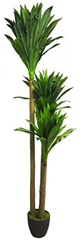 artplants.de Decorative Palm Yucca SHIXING in decorative pot, 6ft/170 cm