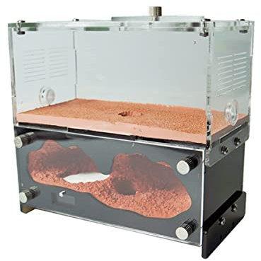 Unendliche Erweiterung Ameisenfarm Beton AntHouse Formicarium Ameisennest Mit Fütterungsbereich Ameisen Haus Insekt Villa Ameisenhaufen Werkstatt Ant Farm Futterbox (Color : C)