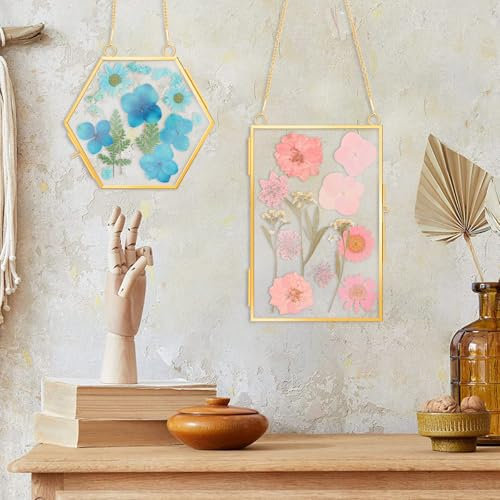 harupink 2 cornici floreali pressate, in vetro flottante, in rame, con pinzette e materiale, per fiori, piante, foto fai da te, oro