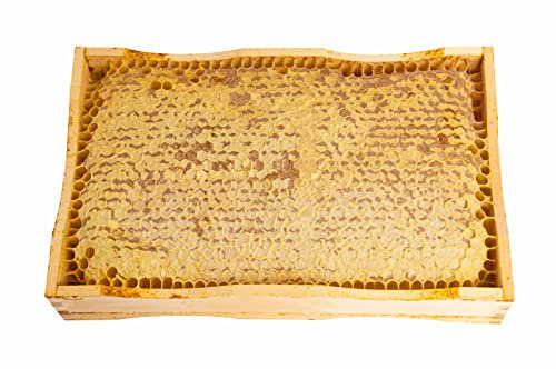 Miel cruda pura de panal de flores silvestres, sin procesar, cantidad limitada, 800 g