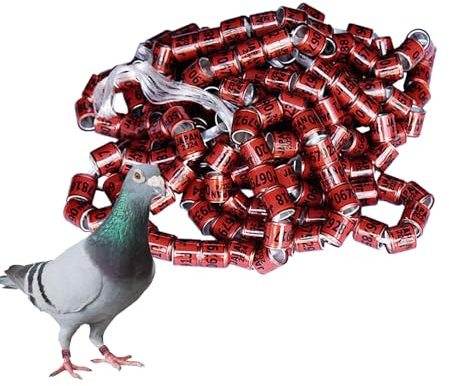 Anillos de palomas, anillos de palomas, bandas de suministros para palomas, tamaño resistente, pie de pájaro en colores brillantes, accesorios de pegeon para loros de carreras, pollitos, pato