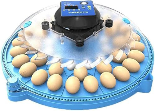 OZBMA Incubatrici per Uova, Incubatrice Rotonda per Uccelli da Cortile, Incubatrice con Schermo Digitale e Controllo Automatico della Temperatura, per incubare quaglie, Colombe, oche e Pulcini