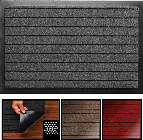 LucaHome - Felpudo Nevado Antideslizante, Impermeable y Antibacteriano para Pasillo, Cocina y Dormitorio (Gris, 40 x 60 cm)