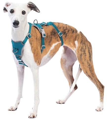 Huntboo Pettorina Antifuga Cane, Pettorina Cane Taglia Media Grande Piccola, Imbracature Riflettenti Anti-Trazione per Animali, Regolabile, Traspirante per Allenamento e Corsa (Blu,L)