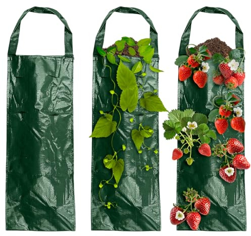 BLLREMIPSUR 3 sacchetti da appendere per piantare fiori, fragole, fiori, fragole, erbe aromatiche, piante per giardinaggio verticale