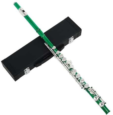 tvärflöjt instrument Flöjt 16 håls musikinstrument