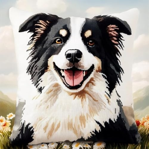 XDEGHUANGSS Kit de almohada de gancho de ganchillo, cojín de hilo de ganchillo, tapete de lona preimpreso, costura, kit de gancho y pestillo para adultos, principiantes, manualidades, decoración de