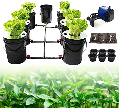DWC Hydroponics Grow System 5 Gallon 6 Buckets Hydroponics Grow Kit Deep Water Culture Growing Bucket Drip Irrigation System for Indoor Outdoor Vegetables