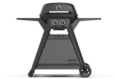 GRANDSTATE 2-Brenner Gasgrill BLACK KITE 200 mit Grillwagen, Fettauffangschale, leistungsstarker Doppelbrenner, abnehmbare Seitenablagen, zwei höhenverstellbare Gussroste, Gesamtleistung: 7,2 kW