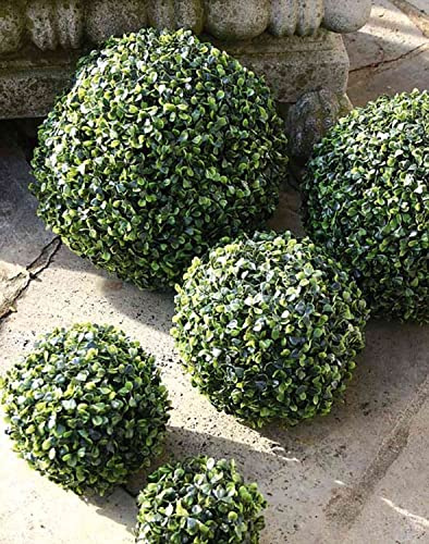 artplants.de Buchsbaumkula Heinz, plastgaller, Ø35 cm