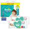 Cc1st Customers Come 1st BBY Nappies Bundle Consists of Pampers Baby-Dry Size 4 Jumbo+ Pack with 2 Packs Pampers Sensitive Wipes