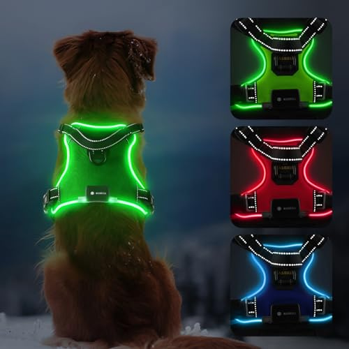 Harnais Chien Lumineux, LED Harnais Chien Anti Traction Réglable pour Petit Moyen Grand Chien, Réfléchissant Réglable Harnais avec 2 Anneaux et Poignée Contrôle, Facile à Mettre(Vert,L)
