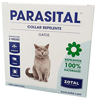 EDM Estufa exterior con pie 650-1300-2000W