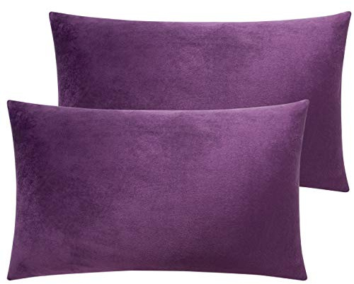 NTBAY 2 Pack Zippered Velvet Standard Pillowcases, 50x75 cm, Pastel Purple | Flannel Pillow Cases with Hidden Zipper, Super Soft and Cozy Luxury Fuzzy, 2 Pack 50x75 cm Pillow Covers