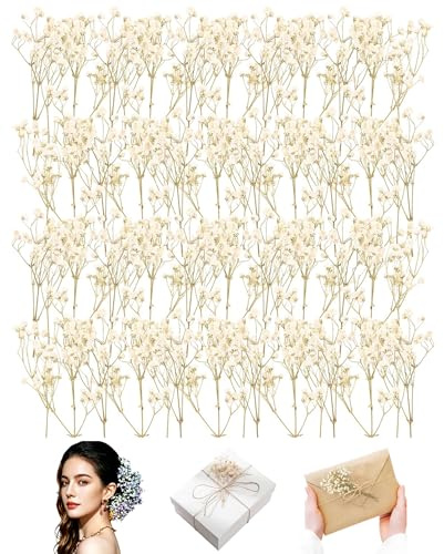 ZAMXHUG 50 Piezas Flores Secas Naturales, Flores Secas Decoración, Paniculata Preservada, Mini Prensadas para Muestras Botánicas, Marcos Fotos, Uñas, Marcapáginas