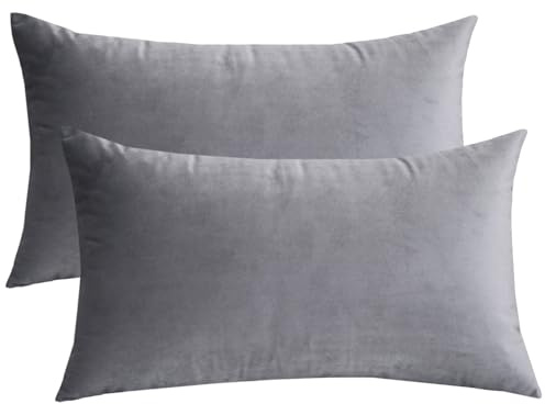 Lutanky Velvet Cushion Covers (Pack of 2) Lovely Rectangle Throw Pillow Cases Soft Solid Decorative Pillow Covers for Sofa Bedroom Car 12x20 Inch 30 x 50 cm (light grey, 2 pieces)