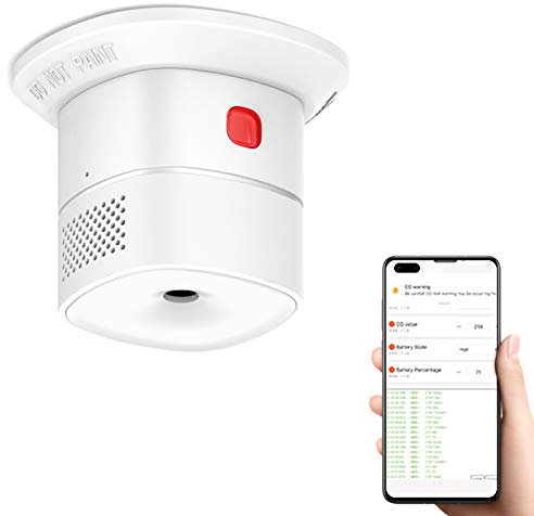 HEIMAN Détecteur de monoxyde de carbone à durée de vie de 10 ans, EN 50291, détecteur de monoxyde de carbone remplaçable, avec écran numérique LCD, détecteur de monoxyde de carbone - 723ESY (WS1CA)