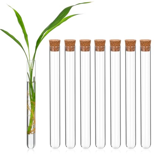 Yardwe Tubes À Essai en Verre 20 Cm X 2 Cm avec Bouchons 8 Pièces Fond Rond Conteneurs De Stockage Liquide pour Expériences À Domicile École Et Laboratoire