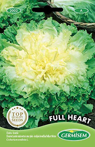 Germisem Endivie FULL HEART