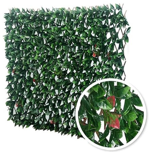 Treillis Extensible PHOTINIA 1mx2m