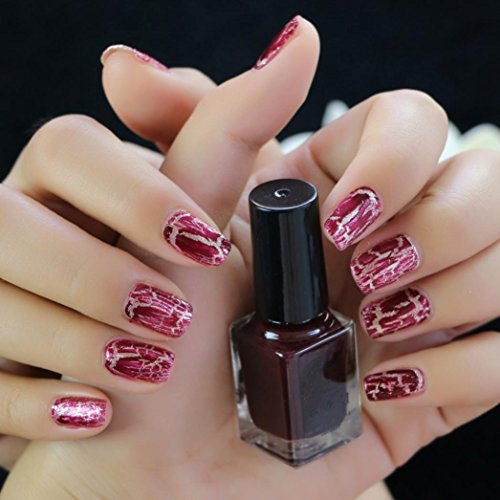Ouneed Bling Spiegeleffekt Powder Nail,Cracked Nail Shatter Nail Kit Nail Polish Set of 12 Colours Included Base Set (D)