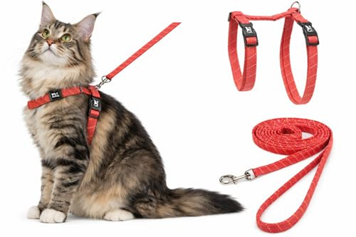 Harnais pour Chat - Grand Chat Elza Corail - 22-32cm - 35-56cm - Laisse 120cm - Nylon réglable - réfléchissant - avec Mousqueton