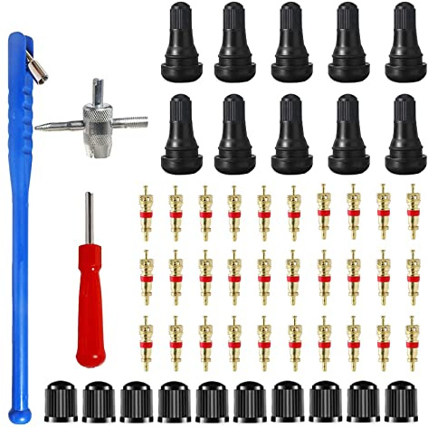 HUAZIZ 53 Pcs Reifenventilentferner Reifenreparatur Werkzeug Ventilwerkzeuge Set 30x Ventilkern10xReifenventilkappen 4 in1 Reparatur-Werkzeug 1x Einkopf Ventil Entferner 1xVentileinziehhebel 10xTR413