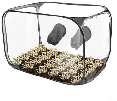 RemixAst Still Air Box 90,2 x 59,7 x 59,7 cm Pilzzuchtset, Pilz-Pflanzbeutel, tragbare Mykologie-Dampfhaube, Anzuchtstationen, Pilz-Zuchtzelt (schwarz)