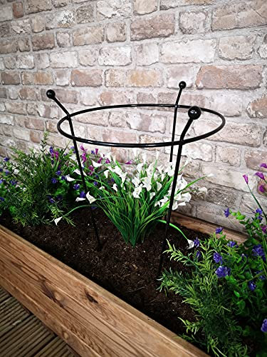 Samuel ALEXANDER Heavy Duty Black Metal Steel Herbaceous Garden Plant Support Ring Small 60cm x 35cm (Pack 1)