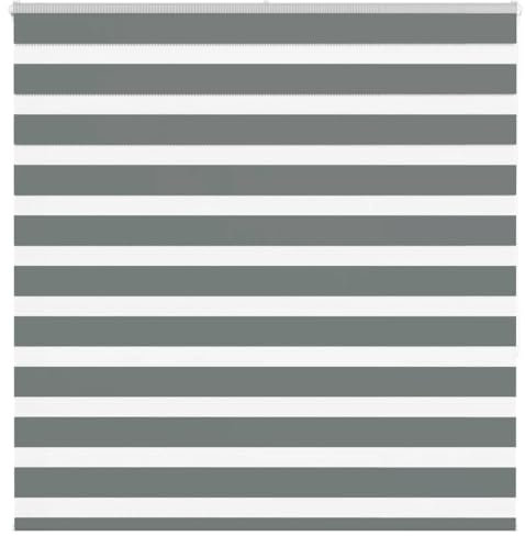 vidaXL Zebra Jalousie Dunkelgrau 145x150 cm Stoffbreite 140,9 cm, Zebra-Rollo, Doppelrollo, Zebra-Jalousie für Fenster, Doppelrollo, Zebra-Rollo