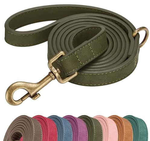 Didog Stylish PU Leather Dog Leash for Medium Dogs, Easy to Clean 5ft Dog Leashes for Large Dogs, Fashionable and Elegant for Walking, Running and Training,Dark Green, M